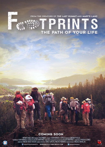 Movie poster for Footprints, the Path of Your Life (2016)