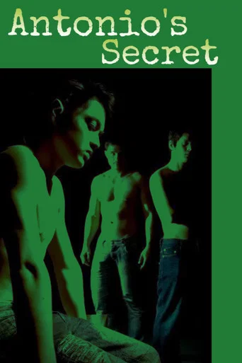 Movie poster for Antonio's Secret (2008)