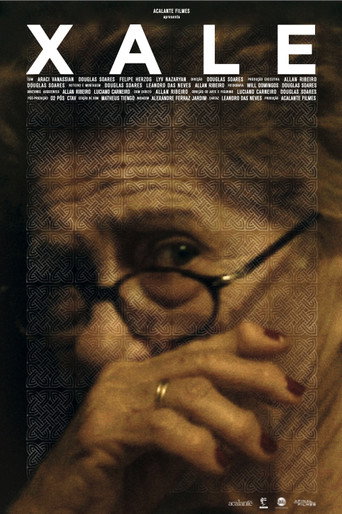 Movie poster for Shawl (2016)