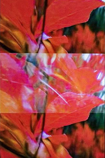 Movie poster for Supersubjektiv (2001)