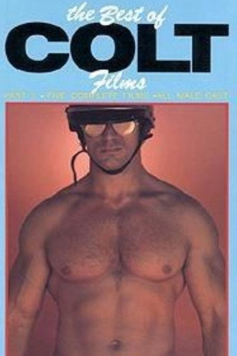 The Best of Colt Films: Part 6 poster