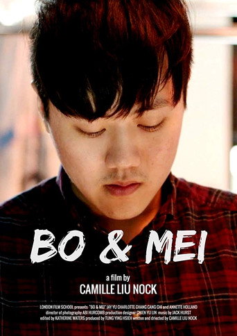 Movie poster for Bo & Mei (2018)