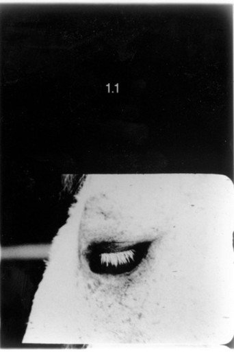 Movie poster for Pocket Cinema - The Catalogue (1996)