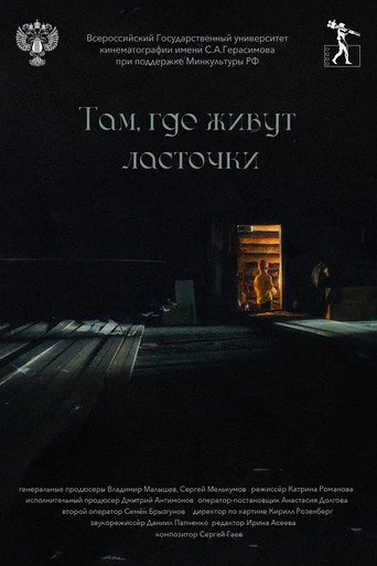 Movie poster for Там, где живут ласточки (2025)