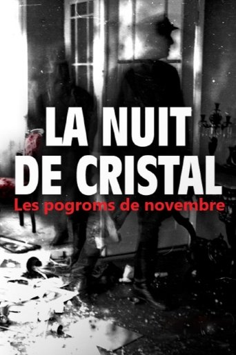 Series poster for La Nuit de cristal : Les pogroms de novembre (2025)