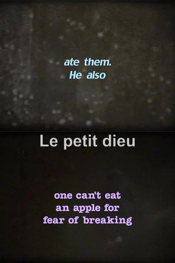 Movie poster for Le petit dieu (2002)
