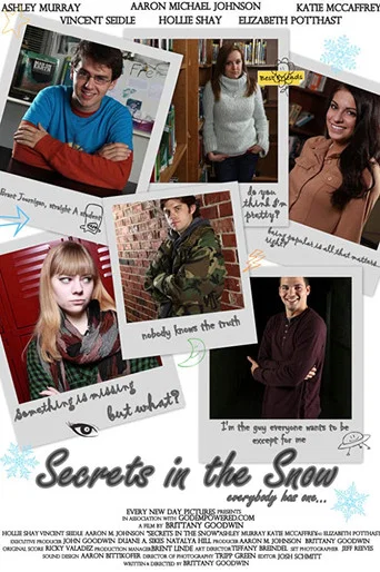 Movie poster for Secrets in the Snow (2013)