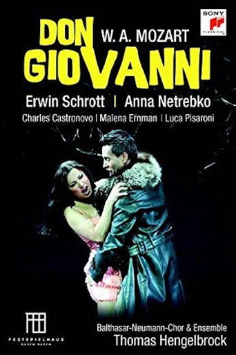 Movie poster for Mozart Don Giovanni (2013)