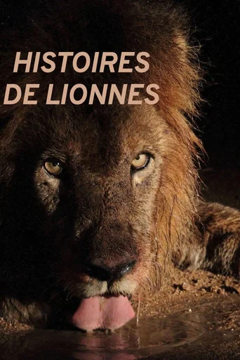 Movie poster for Histoires de lionnes (2020)