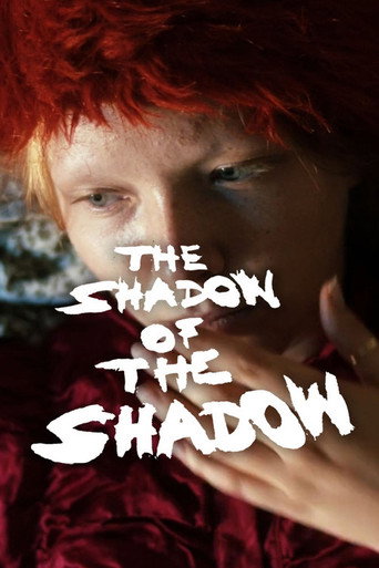 Movie poster for The Shadow of the Shadow (2022)
