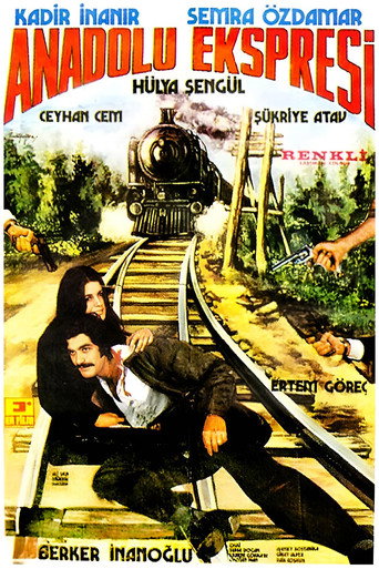Anadolu Ekspresi poster