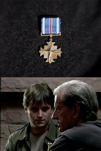 Movie poster for Distinguished Flying Cross (2011)