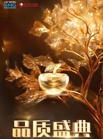 2024电视剧品质盛典 poster