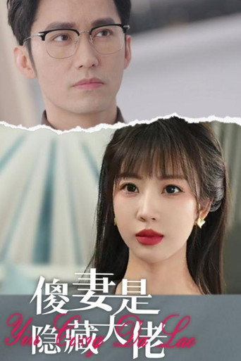 傻妻是隐藏大佬 poster