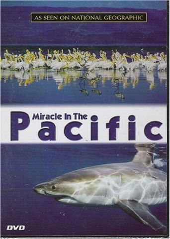 Miracle in the Pacific poster