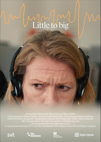 Movie poster for Little to Big (2022)