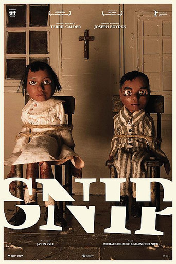 Movie poster for SNIP (2016)