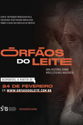 Movie poster for Órfãos do Leite: Uma história sobre mães e filhos invisíveis