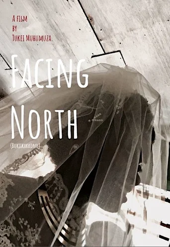 Movie poster for Facing North (2018)