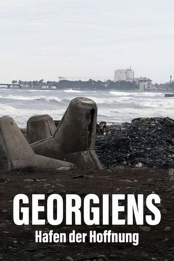 Movie poster for Géorgie - Le port de tous les enjeux (2022)
