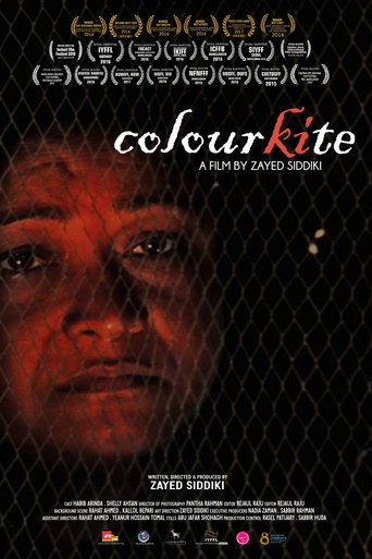 Movie poster for Colourkite (2015)