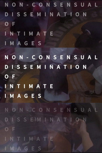 Movie poster for Non-consensual Dissemination of Intimate Images (2023)