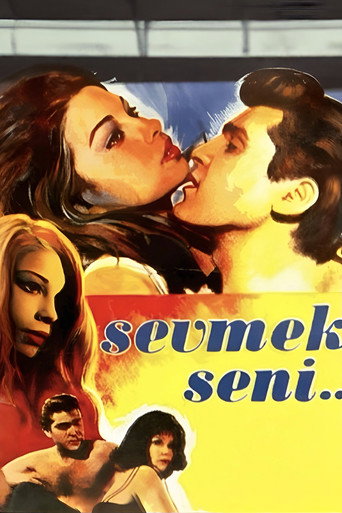 Movie poster for Sevmek Seni (1965)