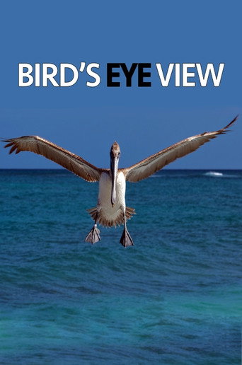 Movie poster for Bird's Eye View (2020)