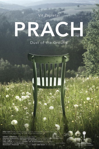 Movie poster for Dust of the Ground (2016)