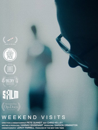 Movie poster for Weekend Visits (2024)