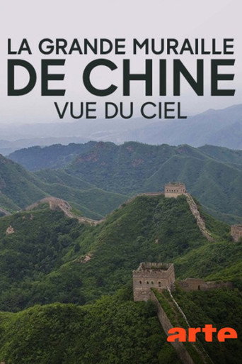 Movie poster for Flying the Great Wall (2018)