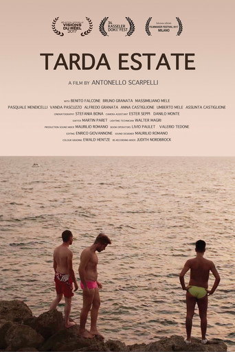 Movie poster for Tarda Estate (2017)