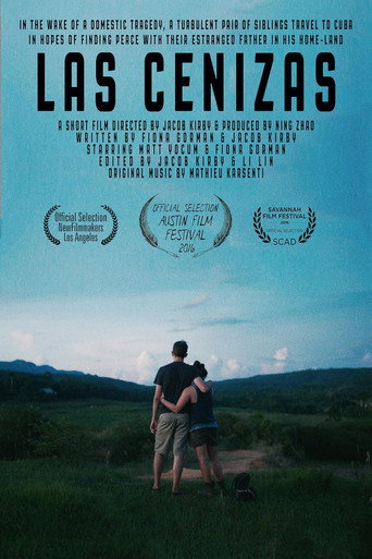 Movie poster for The Ashes (2016)