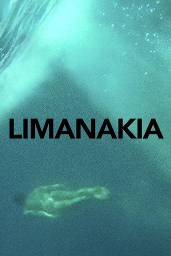 Movie poster for Limanakia (2014)