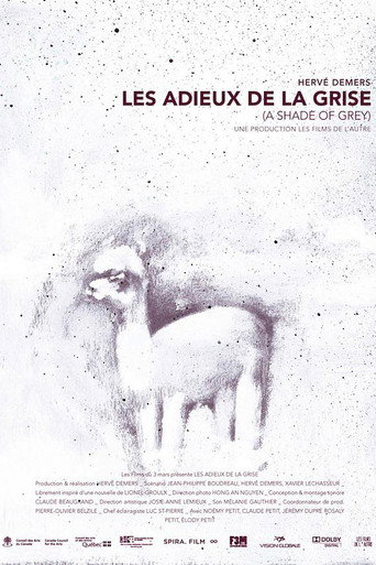 Movie poster for A Shade of Grey (2013)