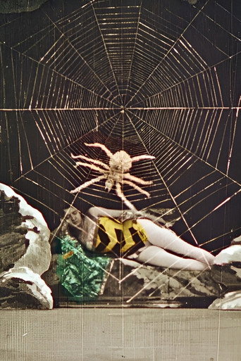 Movie poster for Wonderful Beehive (1905)