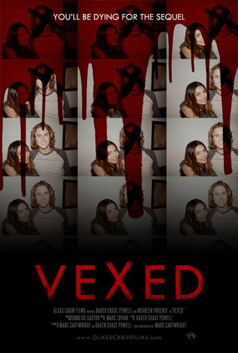 Movie poster for Vexed (2016)