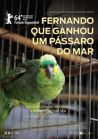 Movie poster for Fernando Who Received a Bird from the Sea (2014)