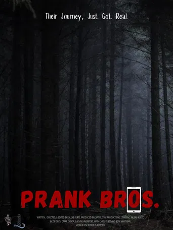Prank Bros poster
