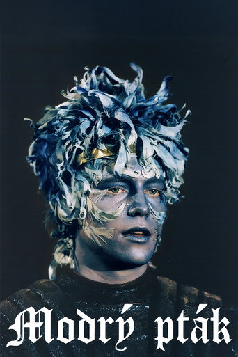 Modrý pták poster