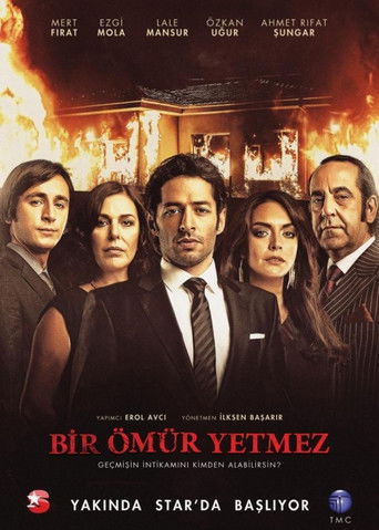 Bir Ömür Yetmez poster