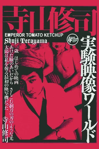 Movie poster for Emperor Tomato Ketchup (1971)