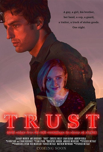 Movie poster for Trust (And Other Lies We Tell Ourselves to Sleep at Night) (2017)