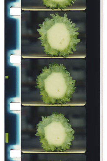 Movie poster for Chopping Fruits and Vegetables (2016)