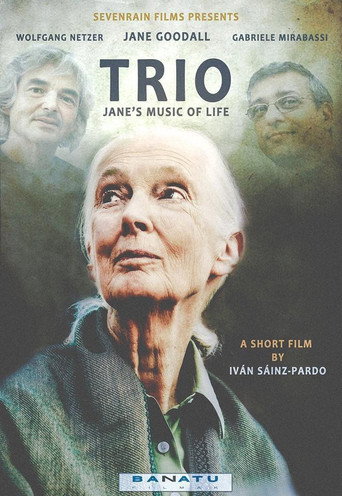 Movie poster for Trio. Jane's Music of Life (2015)