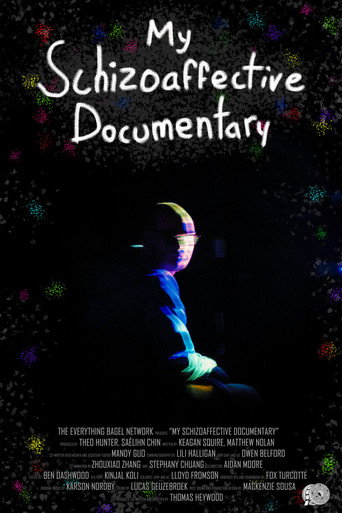 Movie poster for My Schizoaffective Documentary (2025)