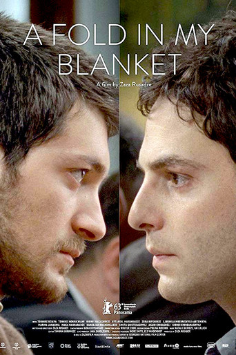 Movie poster for A Fold in My Blanket (2013)