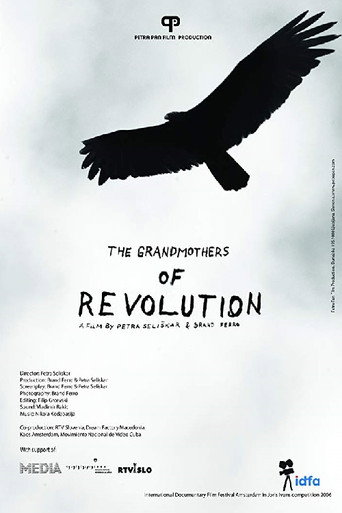 Movie poster for The Grandmothers of the Revolution (2006)