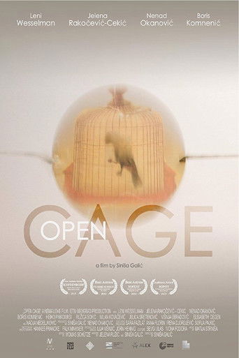 Open Cage poster