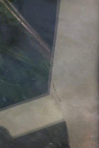 Movie poster for Water Tension (2014)